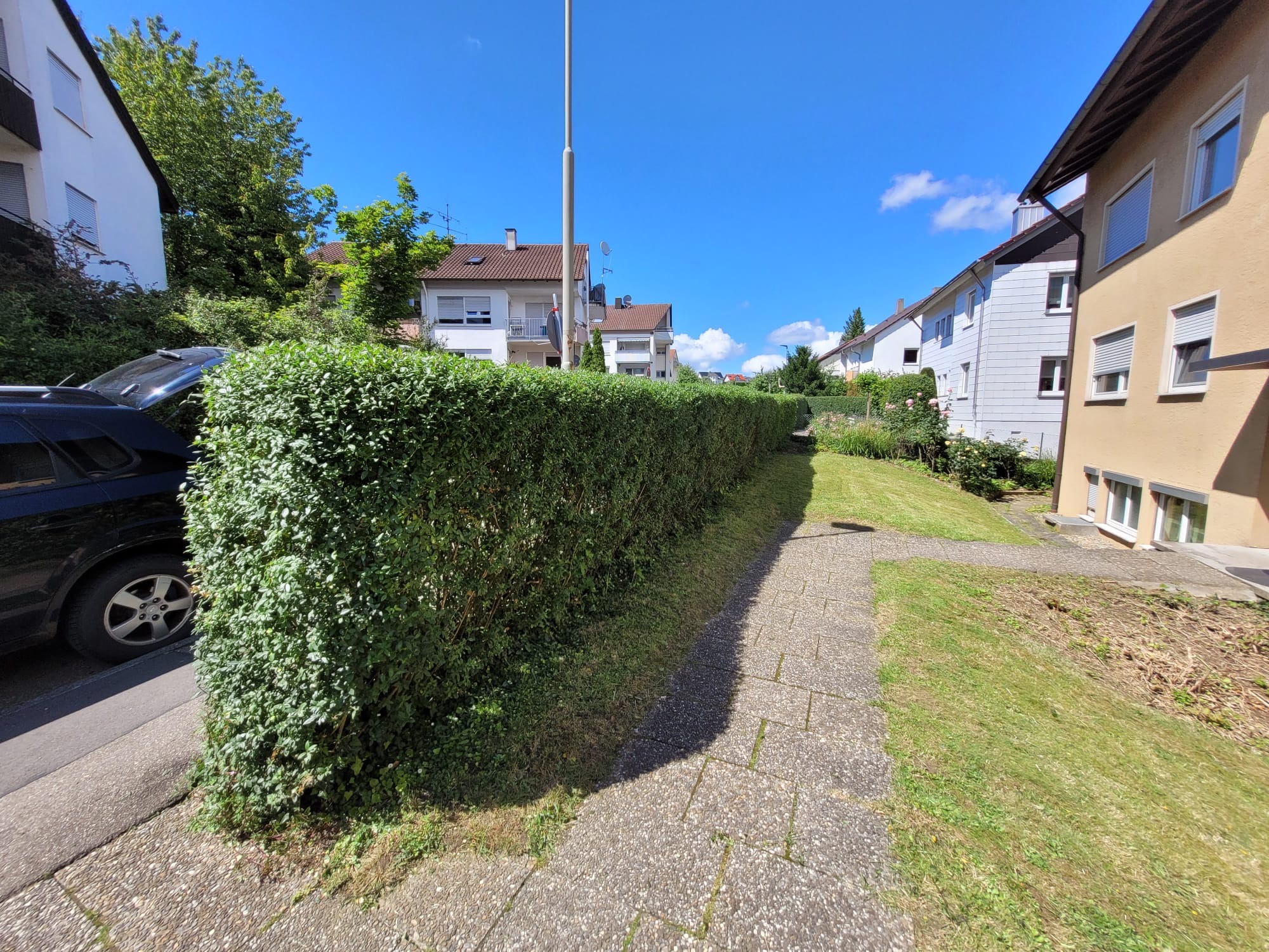 Hecke nach dem Schnitt – sauber getrimmt